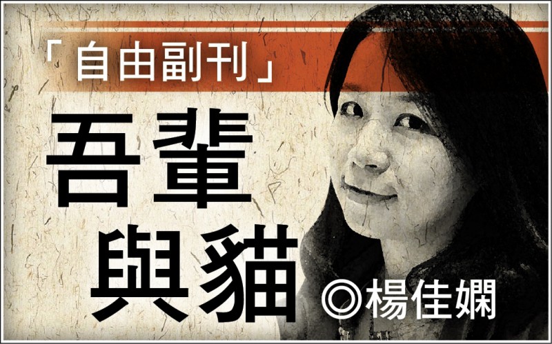 【自由副刊.吾輩與貓】楊佳嫻/花貓交相映 【自由副刊.吾輩與貓】楊佳嫻/花貓交相映