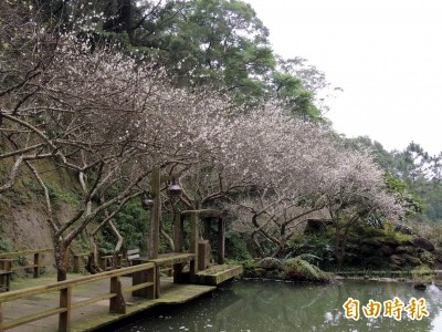 秋冬旅遊好去處 人文式庭園「華陶窯」 秋冬旅遊好去處 人文式庭園「華陶窯」