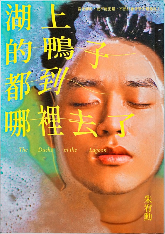 【自由副刊.愛讀書】《湖上的鴨子都到哪裡去了》 【自由副刊.愛讀書】《湖上的鴨子都到哪裡去了》