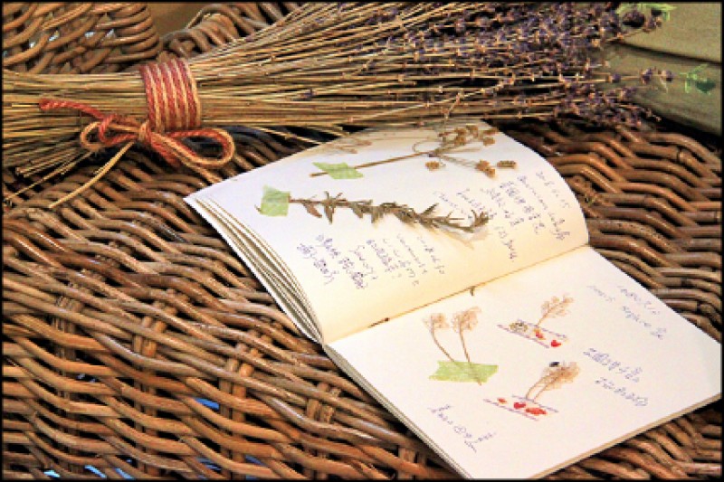 【家庭親子】〈療癒日常〉許自己一個花草療癒日 【家庭親子】〈療癒日常〉許自己一個花草療癒日