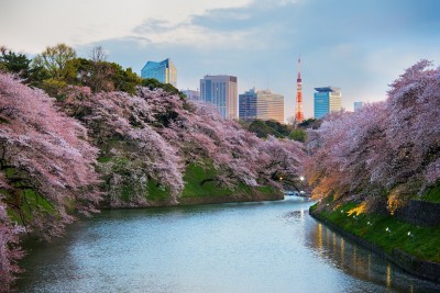 疫情澆不熄旅遊熱情 20大全球旅客夢想目的地看這裡 疫情澆不熄旅遊熱情 20大全球旅客夢想目的地看這裡