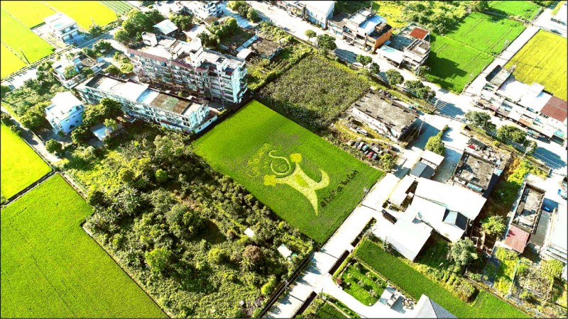【消費新聞】GO TAIWAN 三星彩繪稻田支持台灣米