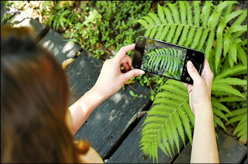 【消費快遞】實測iPhone 13 Pro版攝錄性能有感升級─近拍對焦靈敏 電影級錄影模式表現佳 缺點手機更重