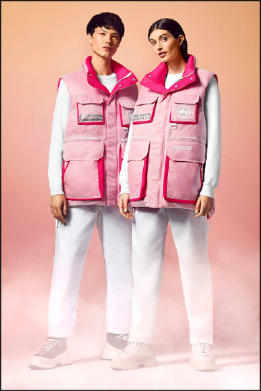 〈長春花藍與蝴蝶蘭洋紅 喜迎2022〉蝴蝶蘭洋紅