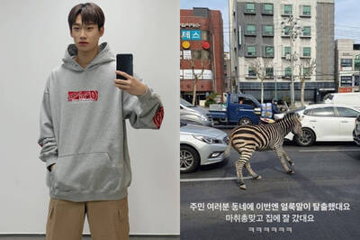 上演馬達加斯加？不止桃園狒狒逃走中 韓男星目睹斑馬也逃出