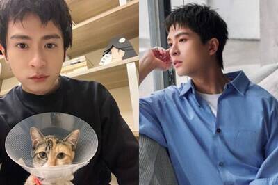 台大學霸男星當貓的「手天使」 養毛孩全靠ChatGPT