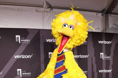 猜猜這是誰？ 史丹利出鳥問題網友回答一排全錯