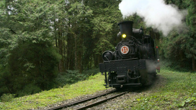 桂綸鎂現聲襯托阿里山鐵道之美！   日本作曲大師操刀《神木之森》配樂