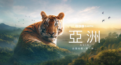 BBC Earth年度旗艦鉅獻移師台灣取景！發掘全新動物行為