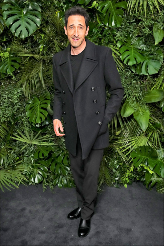 （奧斯卡典禮今登場） 波帝二搶影帝強敵多   62歲黛咪攻后硬尬25歲麥琪