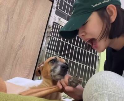 愛犬錢錢罹胃癌 米可白淚崩：離別，我真的沒準備好