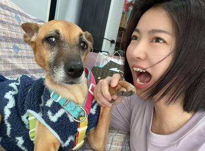 米可白39歲生日 願望心繫癌末愛犬有洋蔥