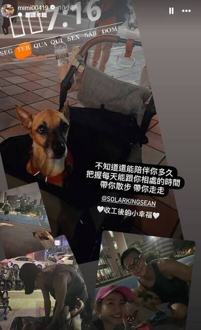 孫綻還是男友！ 米可白一家三口甜蜜同框