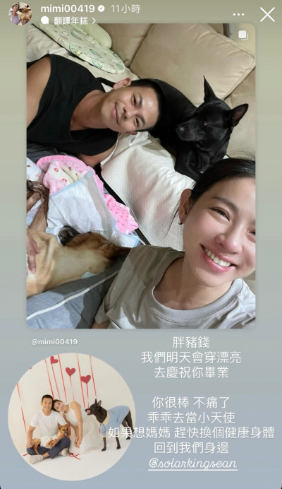 米可白哭腫眼送別愛犬 曝「一家四口」照哽咽告白：好需要你