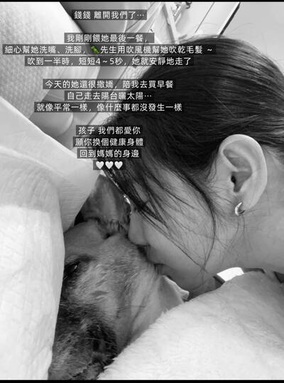 米可白用淚水送錢錢畢業   學著顧慮另一個毛孩子