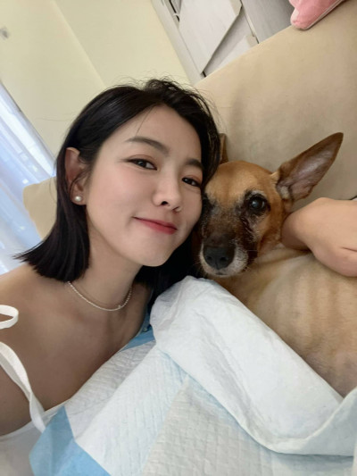 米可白13歲愛犬錢錢癌逝 心碎告別「謝謝你選我當媽媽」