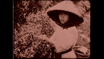 台灣以前竟長這樣！105年前最早電影《福爾摩沙》 珍貴歷史畫面曝光