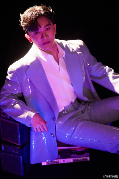 蘇有朋「賣藝不賣身」挨轟 謝絕合照緊急致歉回應了