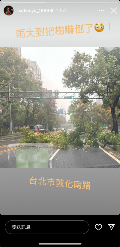 台北暴雨蔣萬安被洗版！哈林Po出驚人一幕：樹被嚇倒了