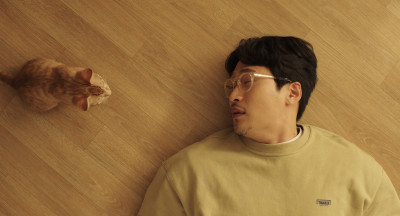 被捧在掌心的貓！「超爽喵星人」有專屬休息室