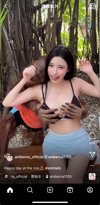 動物園驚見巨乳正妹！女星袒露兩雪球任猩猩狂摸