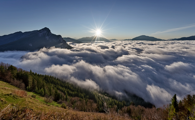1月星座運勢出爐～迎2026曙光！把握「月中之後」行大運關鍵