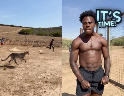 4千萬粉網紅和獵豹賽跑   大腿濺血拚死猛衝出事了