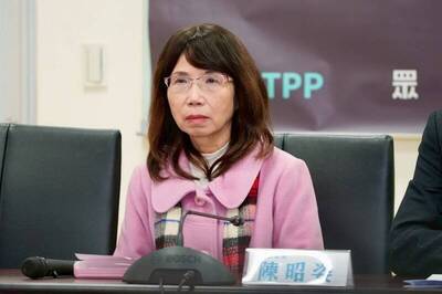 代理孕母法制化爭議   名嘴張益贍18字發聲