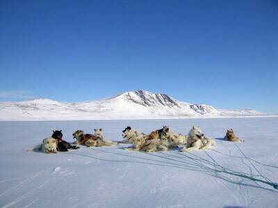 美國為什麼非要格陵蘭？  背後可能原因曝光