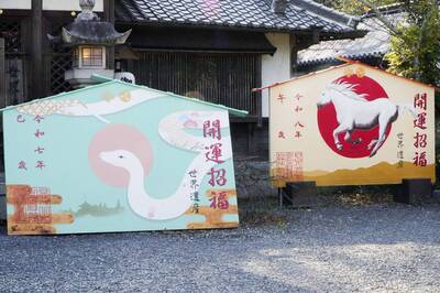 布局「臘月」運勢！12生肖「陽氣萌動」助攻馬年開高走高