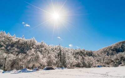【12星座週末運勢】月亮摩羯開新局！歲寒「3運」漸入佳境