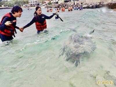 國旅一落千丈 苦苓中肯揭背後主因