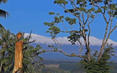 【1/26～2/1星座錦囊】 海王星進牡羊！職場財運格鬥魂大爆發