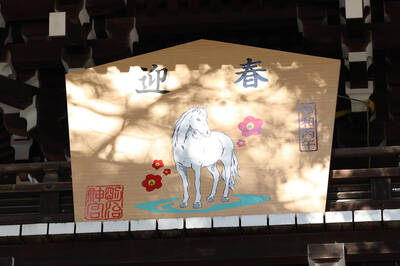 火馬年「機會風險」如雙面刃!12生肖找對「本命財神」迎大吉