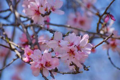 立春存錢旺整年！12生肖財庫種錢「金額＆存法」眉角大不同
