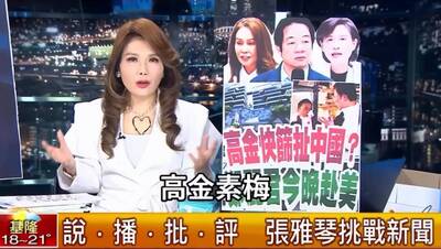 （影音）張雅琴狂電羅智強：怕下波調查你，所以很緊張？