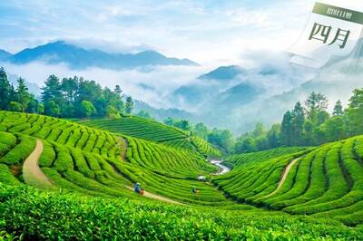 4月財氣地圖出爐～專家點名「這7天」荷包只進不出