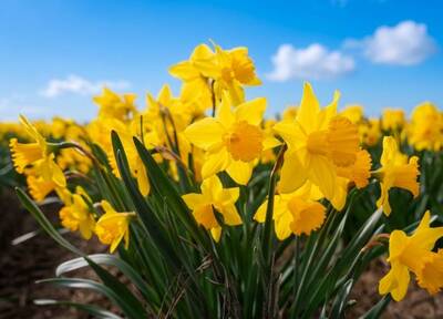 4月天象巨變！跨越84年輪迴重啟「3生肖+3星座」承天命行大運