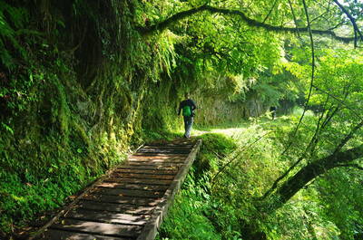 捨不得花、不敢賺？ 命理師授「3招」活絡金流、迎夏日錢潮