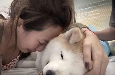 心碎!薔薔愛犬栗子證實離世 落淚道別「謝謝你做我16年家人」