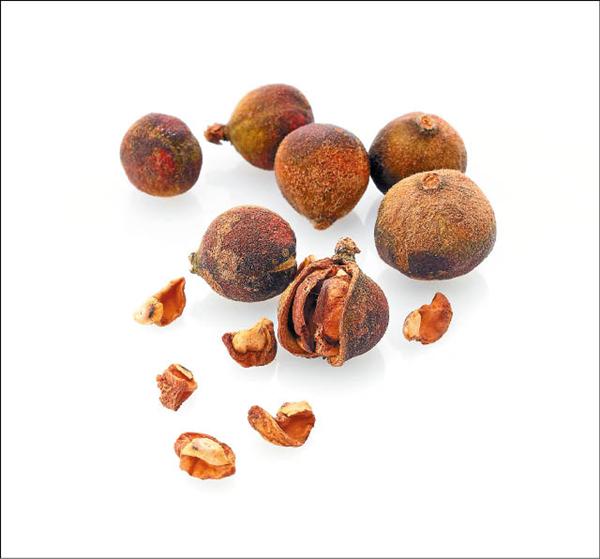 油茶樹是台灣山區常見的植物，榨油後所剩渣粕研磨而成的粉末稱為「茶籽粉」，內含tea oil成分，不刺激、也不會造成環境負擔。