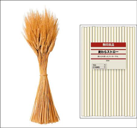 MUJI Award金賞－麥桿吸管的靈感來自古代美索不達米亞遺蹟內的壁畫，畫裡人們將麥桿當成吸管飲水。