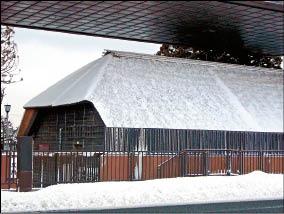 旅遊 實現我的旅遊夢日本東北樹冰之旅 一人8天7夜49 000元 自由娛樂