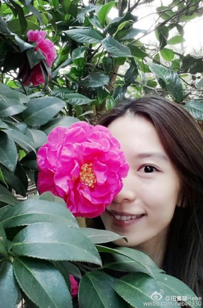 田馥甄之前上傳與茶花的合照,素顏照被網有大讚「人比花嬌」。(圖擷取自田喜碧Hebe微博) 田馥甄之前上傳與茶花的合照,素顏照被網有大讚「人比花嬌」。(圖擷取自田喜碧Hebe微博)