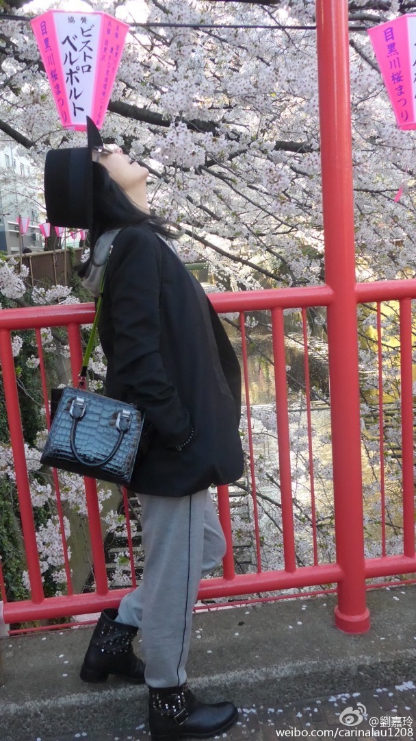 網友誇劉嘉玲「人比花嬌！」。（取自微博）