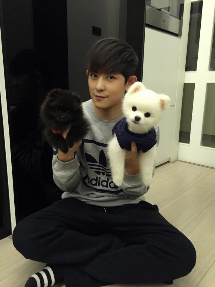 敖犬愛狗眼前失蹤竟然在 發現 自由娛樂