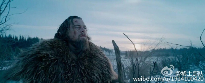 章子怡在微博發長文，深度評析這屆奧斯卡最佳男主角的局勢。（翻攝自章子怡微博）