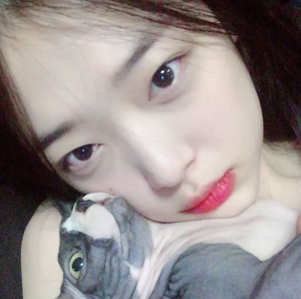 雪莉抱貓自拍的照片，疑似是裸著身體拍攝的。（翻攝自雪莉Instagram）
