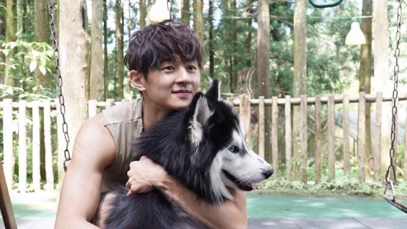 狼王子 哈士奇粉專破萬片酬比男主角還高 自由娛樂