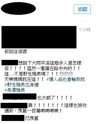 有網友幸運地捕獲野生長澤雅美，讓其它網友非常羨慕。（翻攝自Instagram）